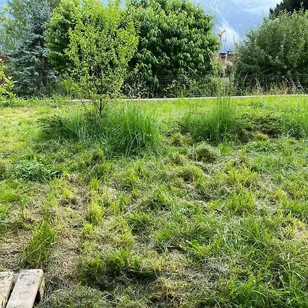 Ecological Facing Mont Blanc In Prázdninový dům *