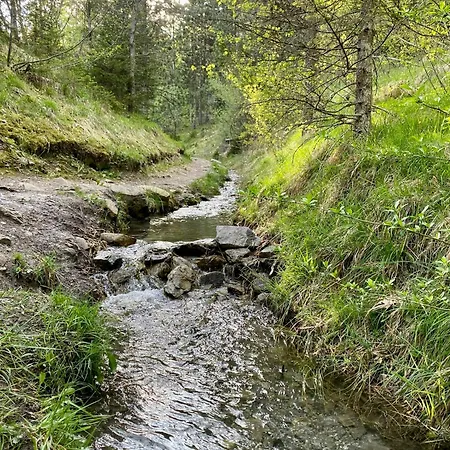 Ecological Facing Mont Blanc In